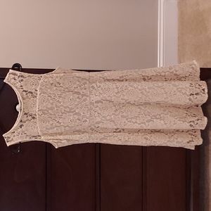 Tulle Exposed Zipper Lace Dress, Eggshell, Small